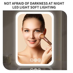 LED Touchscreen Makeup Mirror Adjustable Light Vanity Mirror with Smart Dimming for Beauty & Skincare